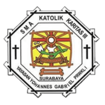 National & International School Logo - c-16.png