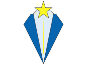 National & International School Logo - c-18.png